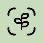 Plant Identifier Android