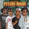 PITORI WAVE PT2 🔥