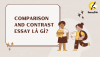 Comparison and contrast essay là gì? Hướng dẫn chi tiết từ A đến Z