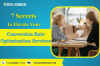 7 Secrets to Elevate Your Conversion Rate Optimization Services
