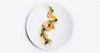 Master Platting
