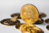 Bitcoin News: Bitcoin Price Up 1.5% Amid Global Policy Easing