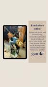 Limskokurs 2.0 online med certifiering
