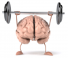 Brain Gym Fitness