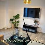 1BHK Fully furnished at Waters Edge