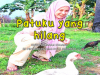 Patuku yang Hilang