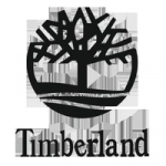 TIMBERLAND SHOES