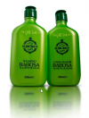 SHAMPOO E CONDICIONADOR BABOSA
