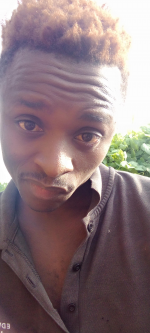 KingsMainaMSsteve Nutson Videos