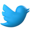 Twit