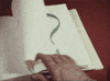 FAQs