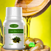 Halagel Virgin Olive Oil