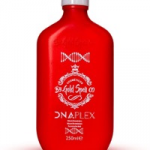 DNAPLEX