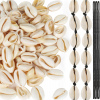 Cowrie Shells and Cord From Tutorial