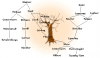 Mathematics Genealogy Project