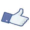 Facebook Page