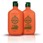 SHAMPOO E CONDICIONADOR PODEROSO