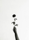Between Holding On and Letting Go