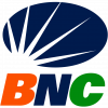 ¿Como pagar con Banco Nacional de Credito?