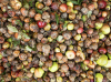A Systemic Analysis of Circularity in Food Systems