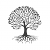 Classes @ The Irish Pagan School