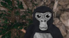 Monkey type