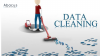 Selecting a Data Cleansing Outsourcing Partner: Essential Tips