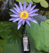 Ritual Oils Blue Lotus [15% Discount]