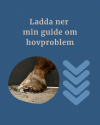 Ladda ner min guide om hovproblem och lösningar