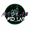 MSDLAB Collective
