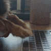 Hacking Corner (Blog)