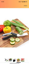 No. 019 Clever Cutter- 2 in 1 Food Chopper