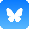 SATIERF'S Bluesky
