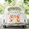 The Perfect Officiant for Your Wedding!