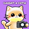 Instagram: CamKitties