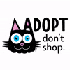 Adopt a Cat