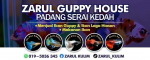 Tik Tok Zarul Kulim Guppy House