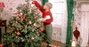 Create Name On Merry Christmas Tree Messages Card Quotes
