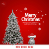 Advance Merry Christmas Wishes 2024 Message Images With Name