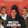 INHLIZIYO AIPHAKELWA