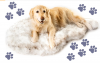 PupRug Orthopedic Dog Bed for Large Dogs with Fluffy Soft Faux Fur and Memory Foam for Joint Pain Relief, Machine Washable and Waterproof Couch Bed