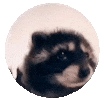 Thanks for visiting my profile