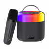 117 | Speaker with Mic