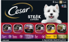 CESAR Adult Soft Wet Dog Food Steak Lovers Variety Pack with Real Meat, (36) 3.5 oz. Trays