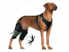 LISPOO Dog Knee Brace for Torn Acl Hind Leg, Luxating Patella, Cruciate Ligament, Dog Acl