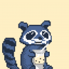 Raccoon Rebellion
