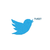 X, (Twitter)