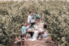 Vineyard Gathering Luxury Picnic