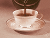 Buy Me a Coffee
