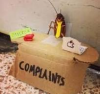 Complains